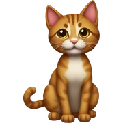 Ankara cat sticker