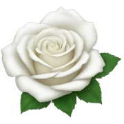 white rose sticker