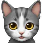 Kitten sticker