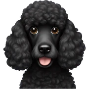 black poodle sticker