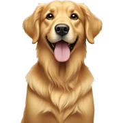 Golden retriever sticker