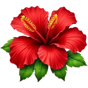 hibiscus flower sticker