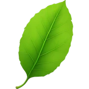 LEAF sticker
