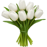 white tulip bouquet  sticker