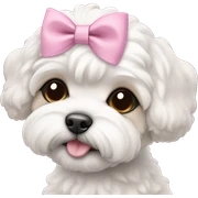 Schichon puppy pink bow sticker