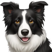 Border collie sticker