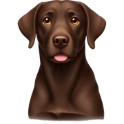 Chocolate Labrador retriever sticker
