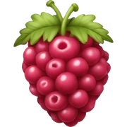 Rasberry sticker