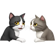 two cat, fight sticker