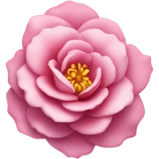 Rosa  sticker