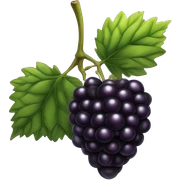 blackberry sticker