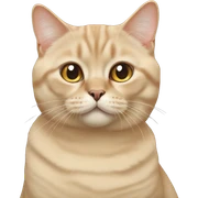 beige british cat sticker