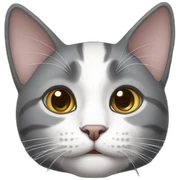 Gray and white Cat sticker