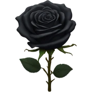 Black rose sticker