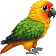 sun conure sticker