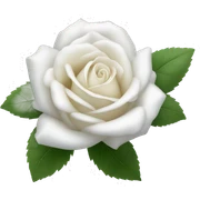rosa blanca  sticker