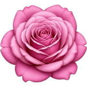 Pink sticker