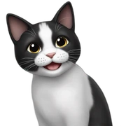 happy white black cat sticker