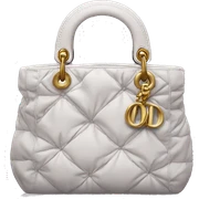 Dior bag sticker