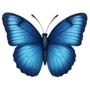 Navy blue butterfly  sticker
