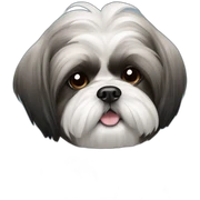 Shih tzu black  sticker