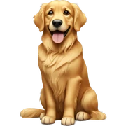golden retriever  sticker