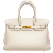 Birkin bag  sticker