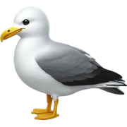 seagul sticker