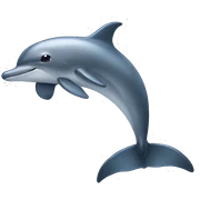 delfin sticker
