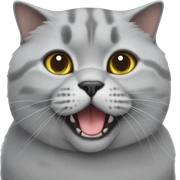 British shorthair cat grey sticker