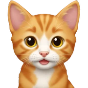 Orange tabby kitten  sticker