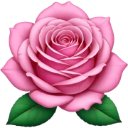 Pink sticker