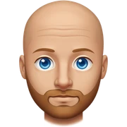 Attractive bald man with a light brown short beard and blue eyes  sticker