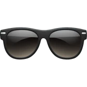 sunglasses sticker