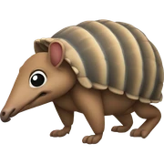 Armadillo sticker