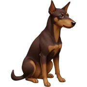 light brown, marron a female australian kelpie  sticker