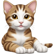 Brown and white tabby kitten laying  sticker