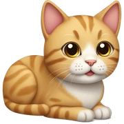 cute cat sticker