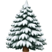  actual white fir christmas tree isolated.  sticker