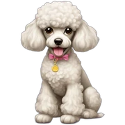 french poodle sticker