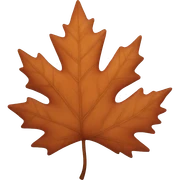 Maple leaves sticker