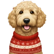Golden doodle wearing christmas Sweater  sticker
