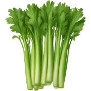 Celery sticker