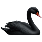 black swan front view sticker