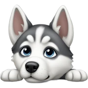 Husky puppy laying sticker