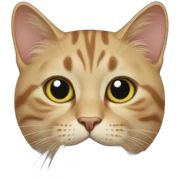 Cat cat sticker