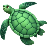 Sea turtle  sticker
