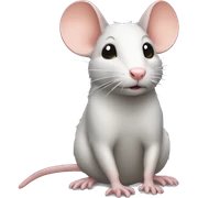 Rat sticker