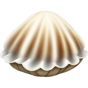 Clam sticker
