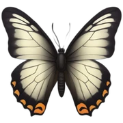butterfly dark sticker